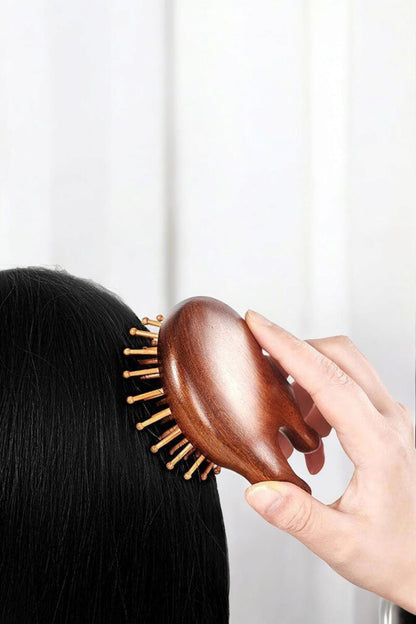 All-in-One HairBrush & Massage Comb